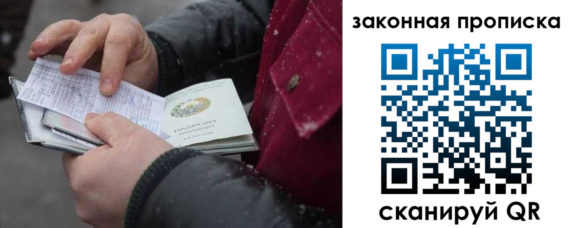 прописка поиск в Павловске